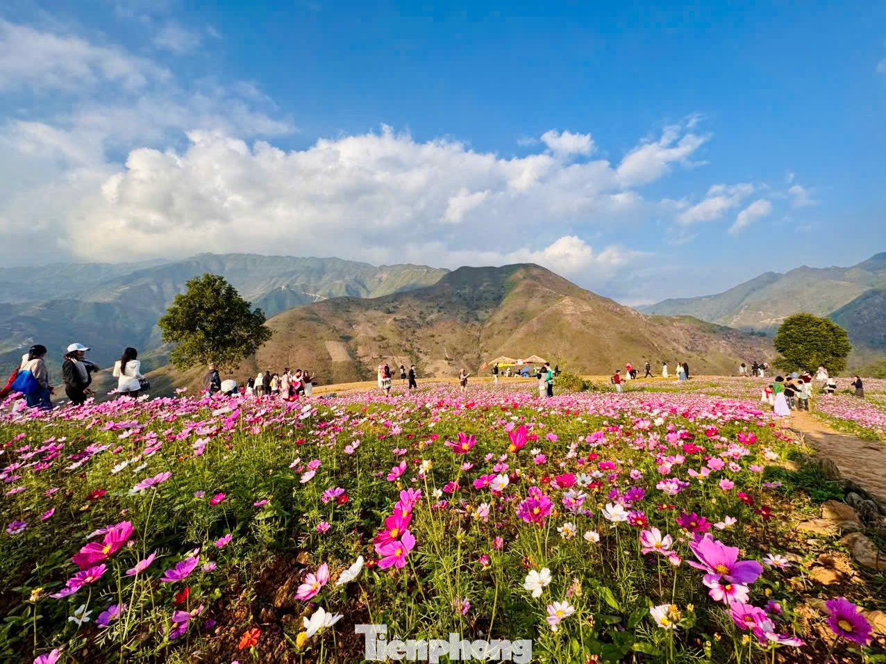'M&aacute;i nh&agrave; ch&ecirc;nh v&ecirc;nh' ở T&agrave; X&ugrave;a th&agrave;nh điểm check-in độc nhất v&ocirc; nhị- Ảnh 16.