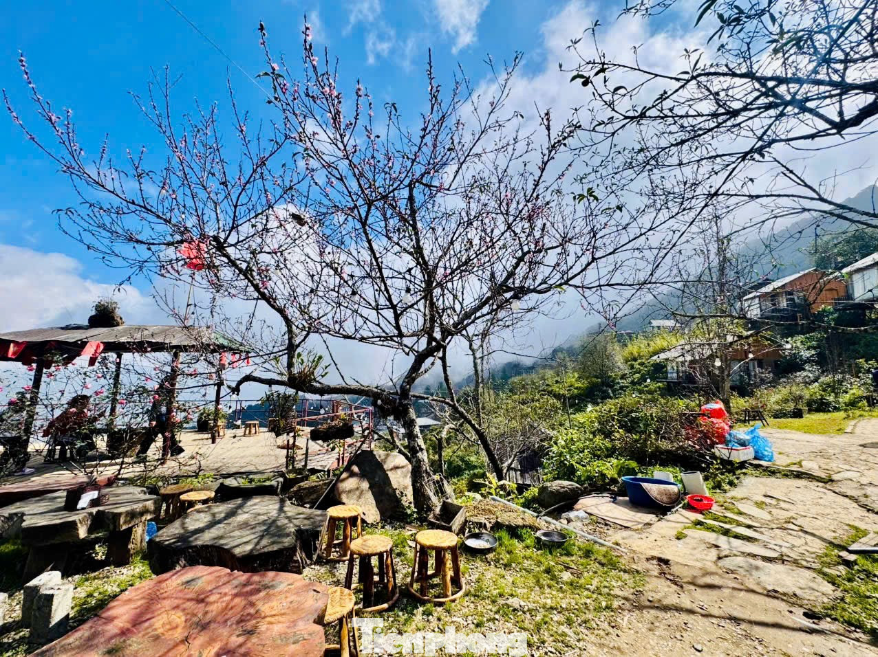 'M&aacute;i nh&agrave; ch&ecirc;nh v&ecirc;nh' ở T&agrave; X&ugrave;a th&agrave;nh điểm check-in độc nhất v&ocirc; nhị- Ảnh 8.