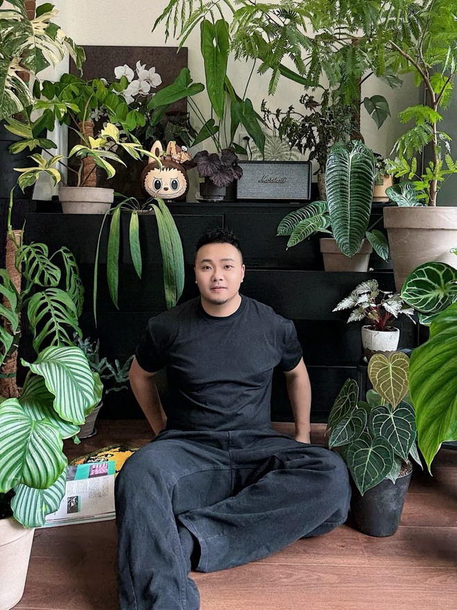 Bỏ phố về... ban c&ocirc;ng: Ch&agrave;ng trai 9x chia sẻ b&iacute; k&iacute;p "mang rừng về phố", chỉ 3 quy tắc sắp xếp l&agrave; c&oacute; ngay g&oacute;c chill triệu like- Ảnh 4.