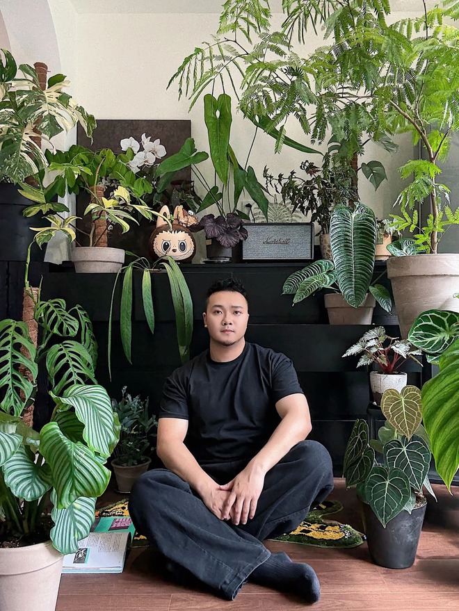 Bỏ phố về... ban c&ocirc;ng: Ch&agrave;ng trai 9x chia sẻ b&iacute; k&iacute;p "mang rừng về phố", chỉ 3 quy tắc sắp xếp l&agrave; c&oacute; ngay g&oacute;c chill triệu like- Ảnh 3.