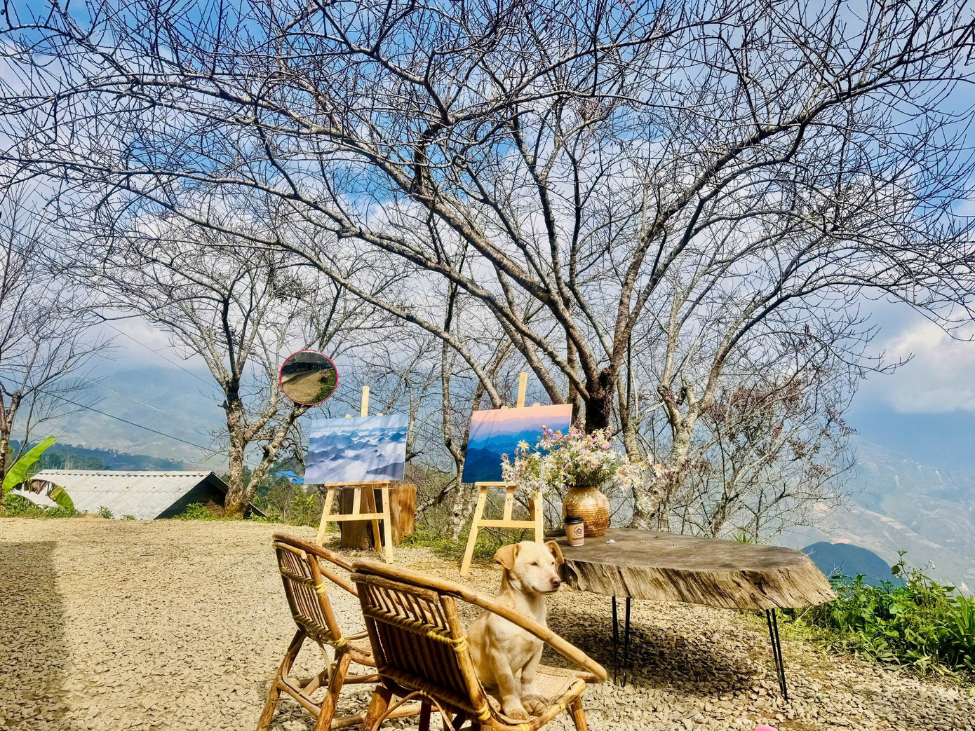 'M&aacute;i nh&agrave; ch&ecirc;nh v&ecirc;nh' ở T&agrave; X&ugrave;a th&agrave;nh điểm check-in độc nhất v&ocirc; nhị- Ảnh 1.