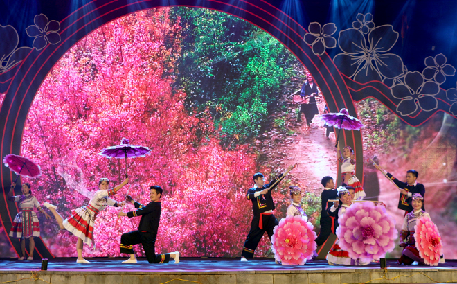 Kh&ocirc;ng phải H&agrave;n Quốc, Nhật Bản, đ&acirc;y l&agrave; nơi đang c&oacute; hoa mai anh đ&agrave;o nở rực 1 g&oacute;c trời: C&aacute;ch H&agrave; Nội 300km- Ảnh 8.