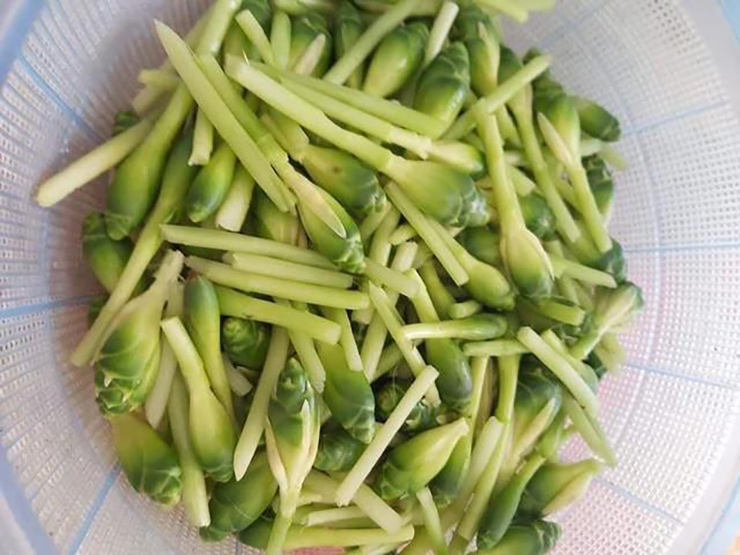 Thứ hoa tưởng v&ocirc; dụng, kh&ocirc;ng ngờ l&agrave; m&oacute;n ăn lạ thơm ngon, bất ngờ g&acirc;y sốt- Ảnh 6.