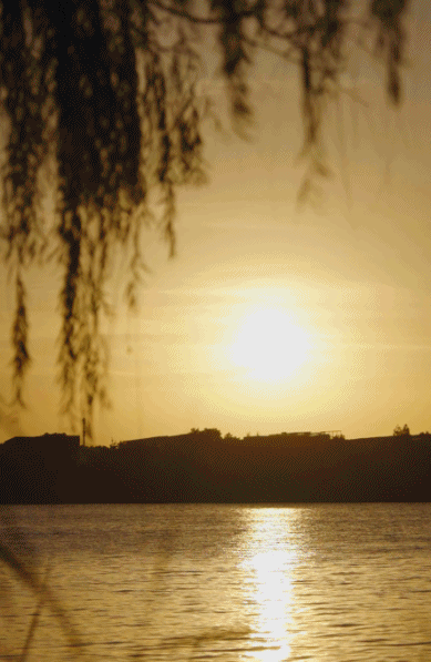 Người phụ nữ 35 tuổi sống một m&igrave;nh trong căn nh&agrave; 350m&sup2;: T&ocirc;i chọn ra ngoại &ocirc; để giảm một nửa chi ph&iacute; cố định v&agrave; lấy lại tự do t&agrave;i ch&iacute;nh- Ảnh 8.