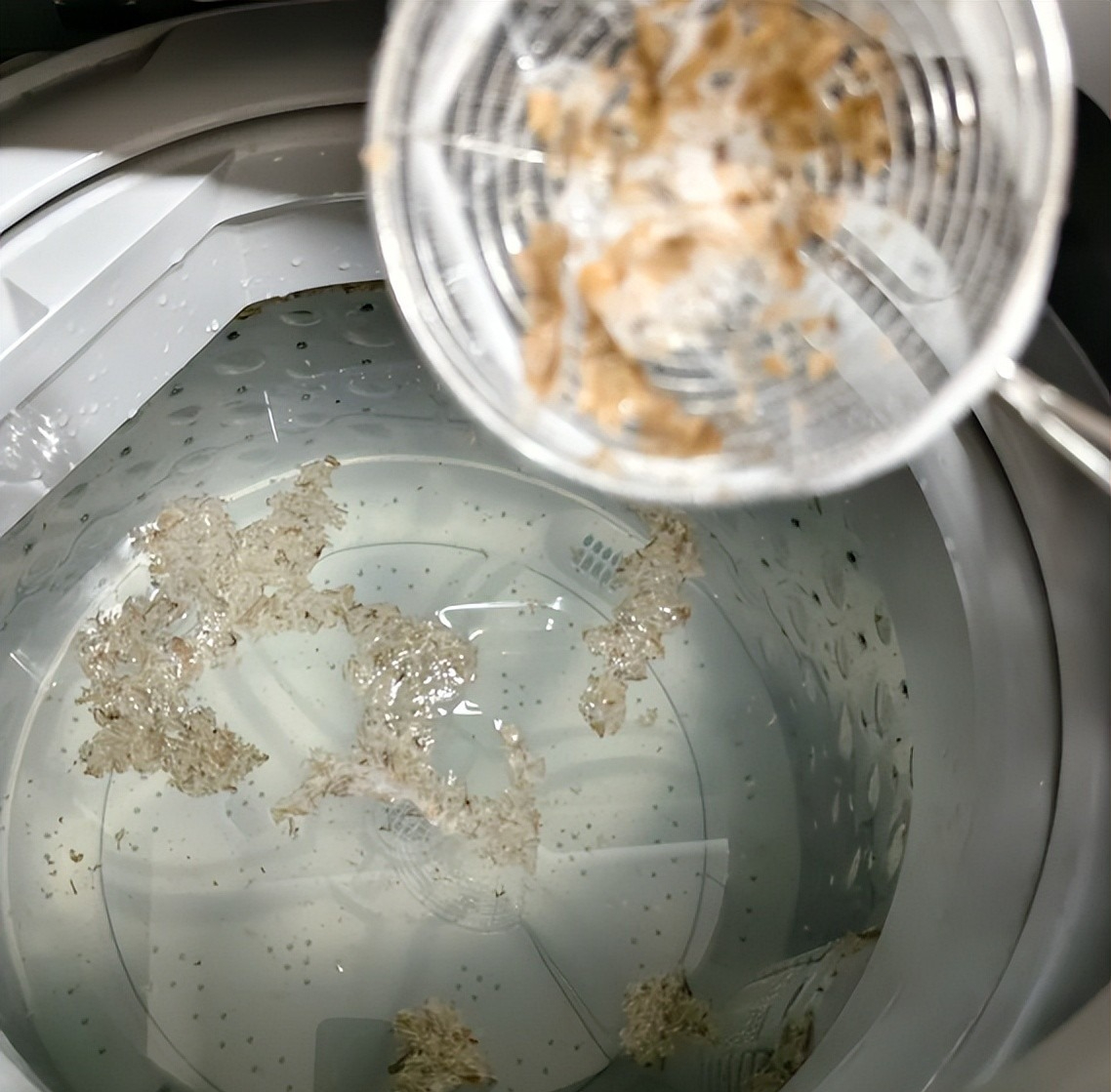 1 người phơi quần &aacute;o, cả nh&agrave; lần lượt đổ bệnh v&igrave; c&aacute;ch l&agrave;m RẤT SAI- Ảnh 5.