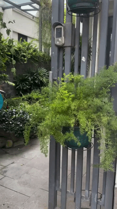 Nữ nghệ sĩ t&aacute;i h&ocirc;n với đại gia, được 