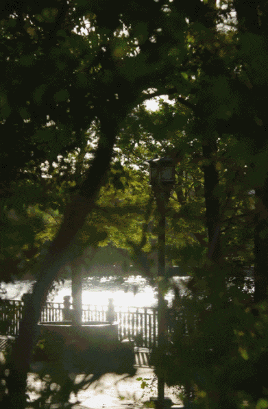 Người phụ nữ 35 tuổi sống một m&igrave;nh trong căn nh&agrave; 350m&sup2;: T&ocirc;i chọn ra ngoại &ocirc; để giảm một nửa chi ph&iacute; cố định v&agrave; lấy lại tự do t&agrave;i ch&iacute;nh- Ảnh 1.