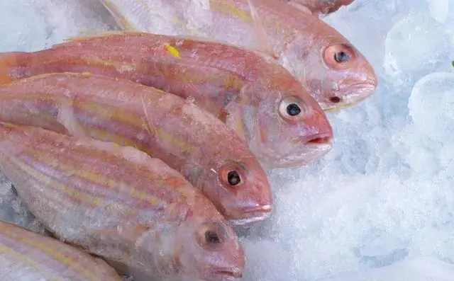 Ng&agrave;y c&agrave;ng c&oacute; nhiều người chết v&igrave; ung thư? B&aacute;c sĩ nhắc: Th&agrave; nhịn đ&oacute;i c&ograve;n hơn ham ăn 4 loại c&aacute; n&agrave;y- Ảnh 1.