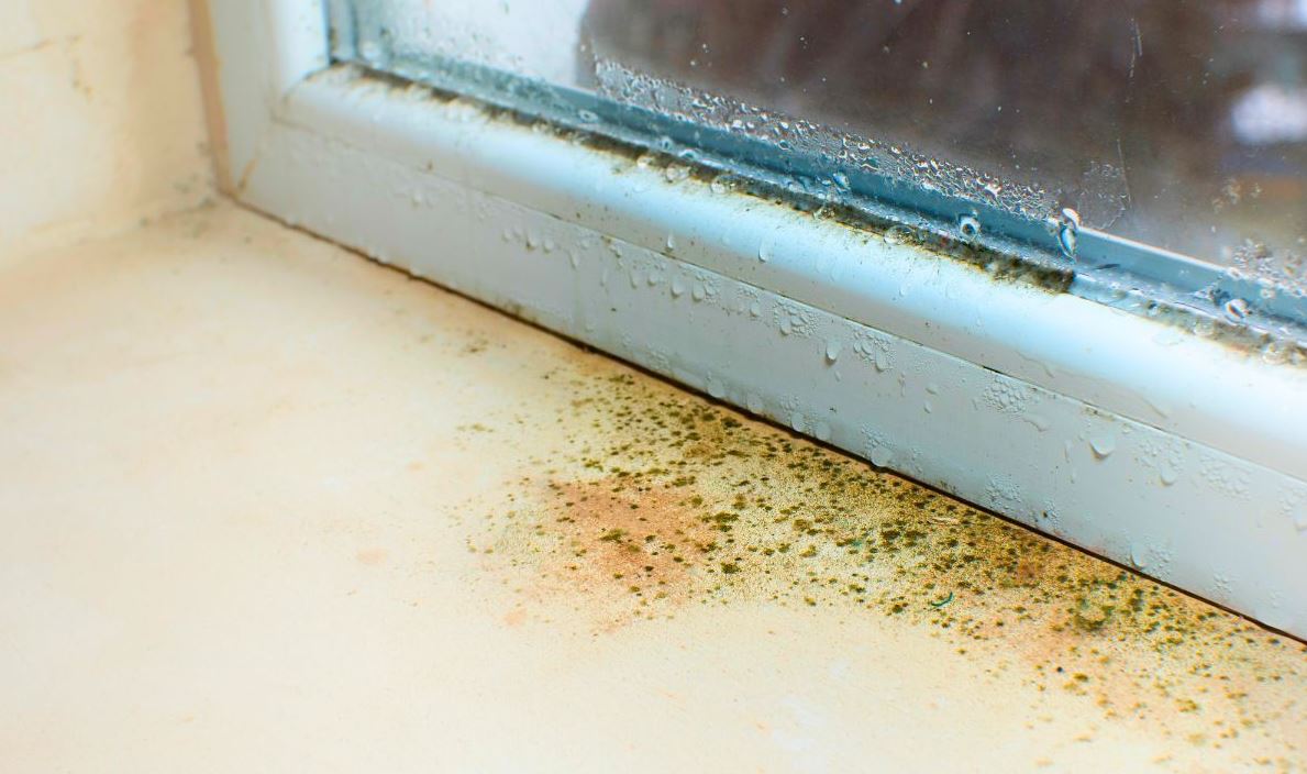 Cửa sổ m&ugrave;a đ&ocirc;ng sạch bong kin k&iacute;t khi được lau c&ugrave;ng giấm v&agrave; thứ n&agrave;y- Ảnh 1.