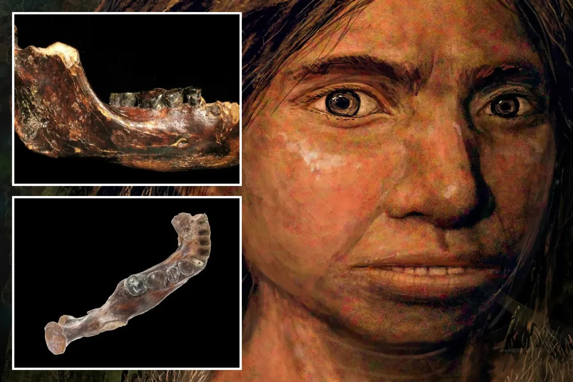 Bí ẩn 15 năm được giải mã chỉ sau một đêm? Cú đột phá từ cao răng giải mã bí ẩn 146.000 năm!- Ảnh 3. Bí ẩn 15 năm được giải mã chỉ sau một đêm? Cú đột phá từ cao răng giải mã bí ẩn 146.000 năm!- Ảnh 3.