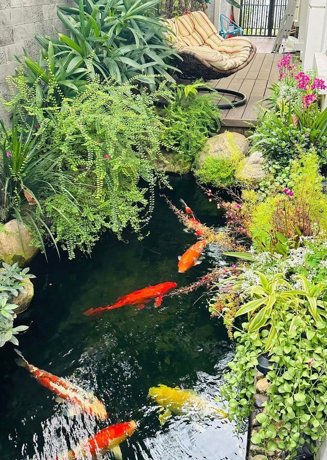 Nữ nghệ sĩ t&aacute;i h&ocirc;n với đại gia, được 