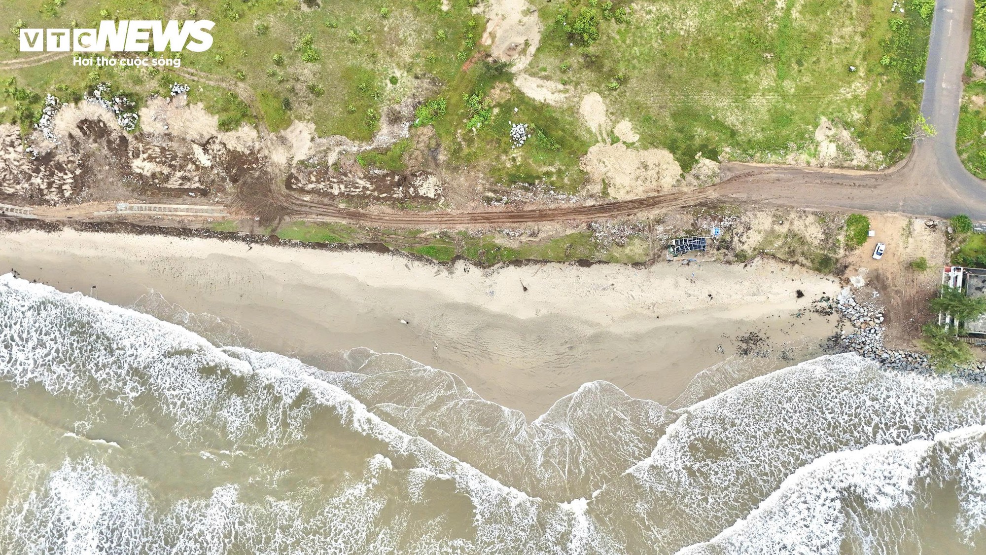 S&oacute;ng 'ngoạm' bật gốc phi lao, ph&aacute; tan hoang b&atilde;i biển đẹp nhất Quảng Ng&atilde;i- Ảnh 7.