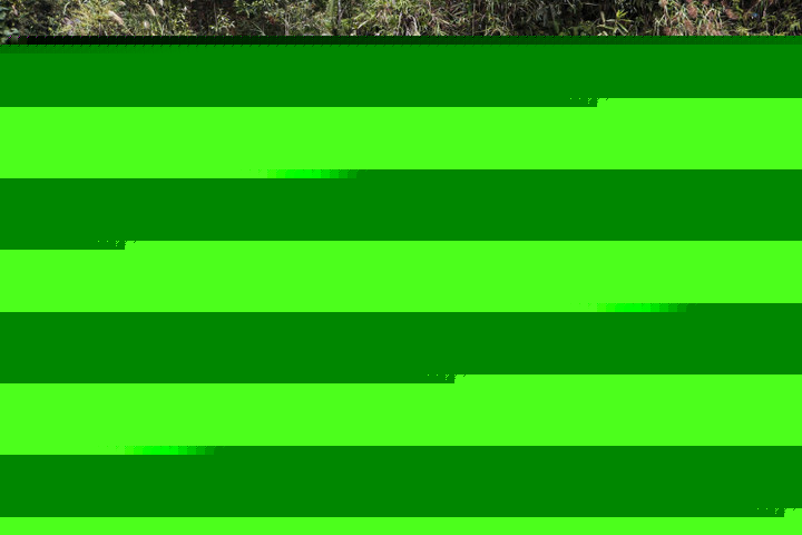 Đề xuất x&acirc;y dựng c&ocirc;ng tr&igrave;nh tưởng niệm đo&agrave;n thiện nguyện tử nạn ở L&agrave;o Cai- Ảnh 1.