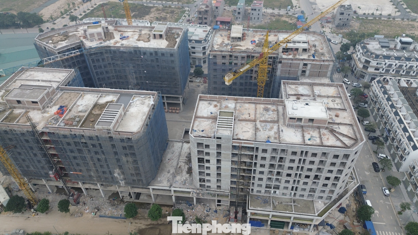 Hà Nội: Gần 1.000 khách hàng bốc thăm mua nhà ở xã hội Uy Nỗ- Ảnh 17.