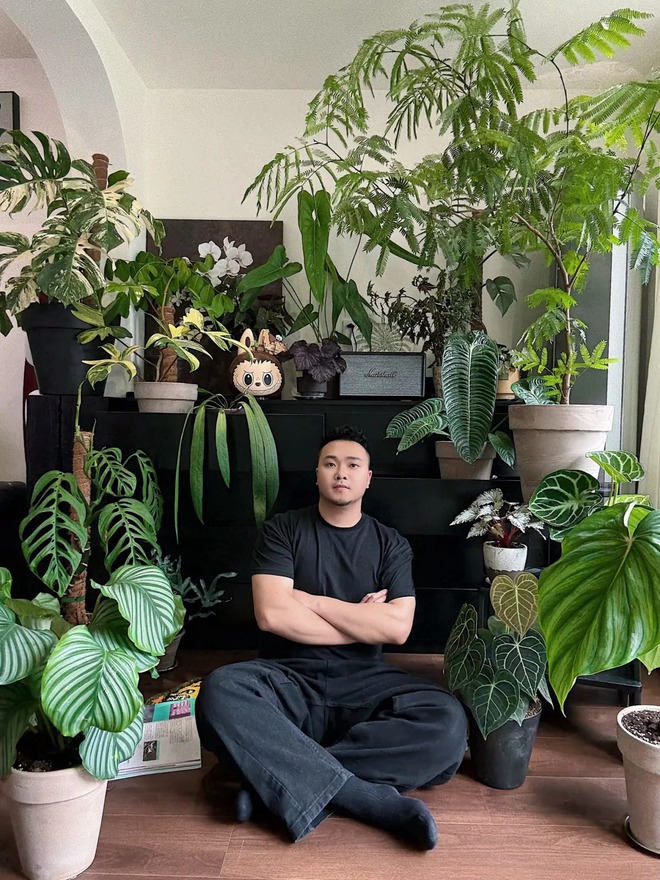 Bỏ phố về... ban c&ocirc;ng: Ch&agrave;ng trai 9x chia sẻ b&iacute; k&iacute;p "mang rừng về phố", chỉ 3 quy tắc sắp xếp l&agrave; c&oacute; ngay g&oacute;c chill triệu like- Ảnh 2.