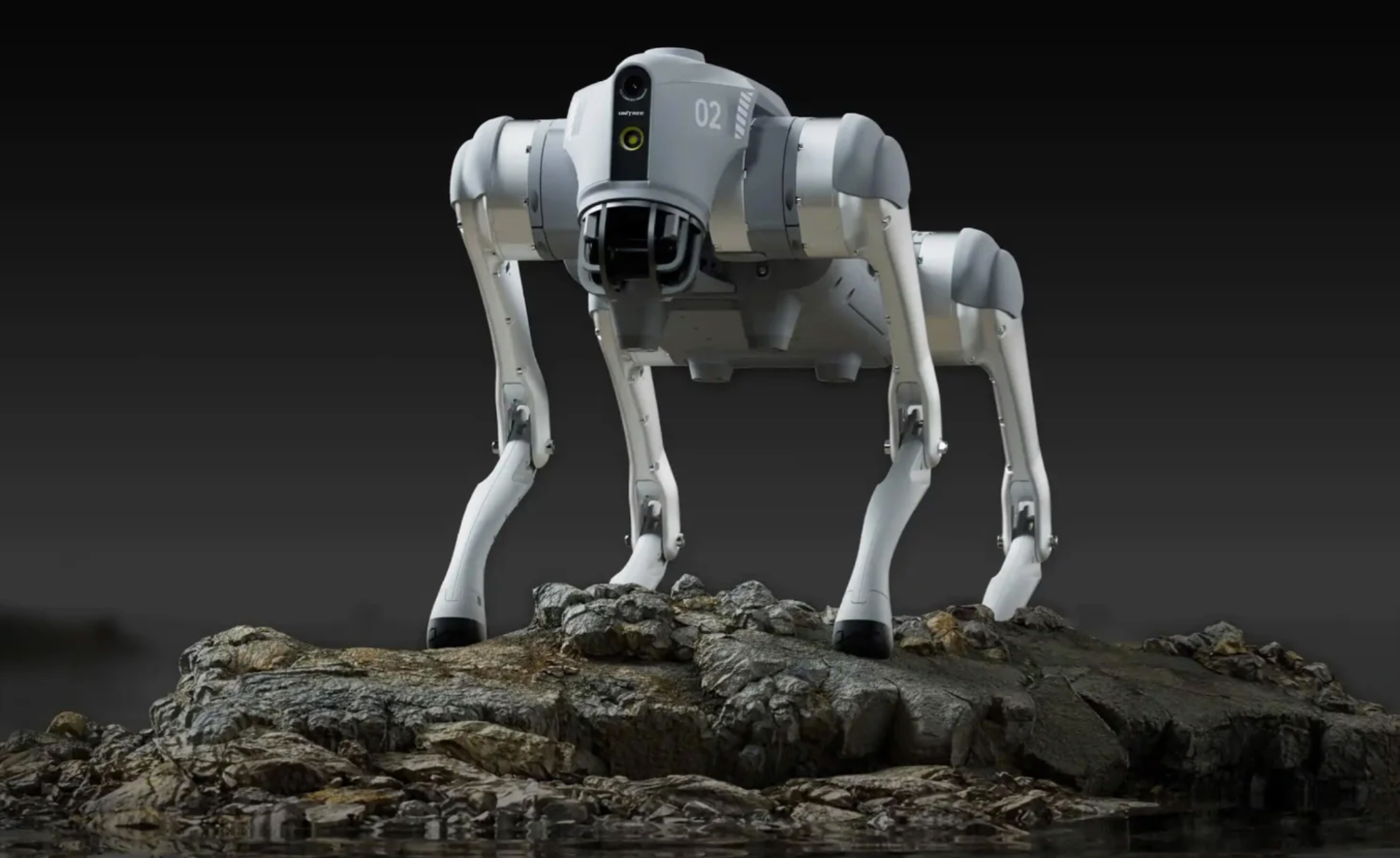 Trung Quốc ra mắt dịch vụ cho thu&ecirc; robot h&igrave;nh người để l&agrave;m việc, kể cả ma chay cưới hỏi...- Ảnh 2.