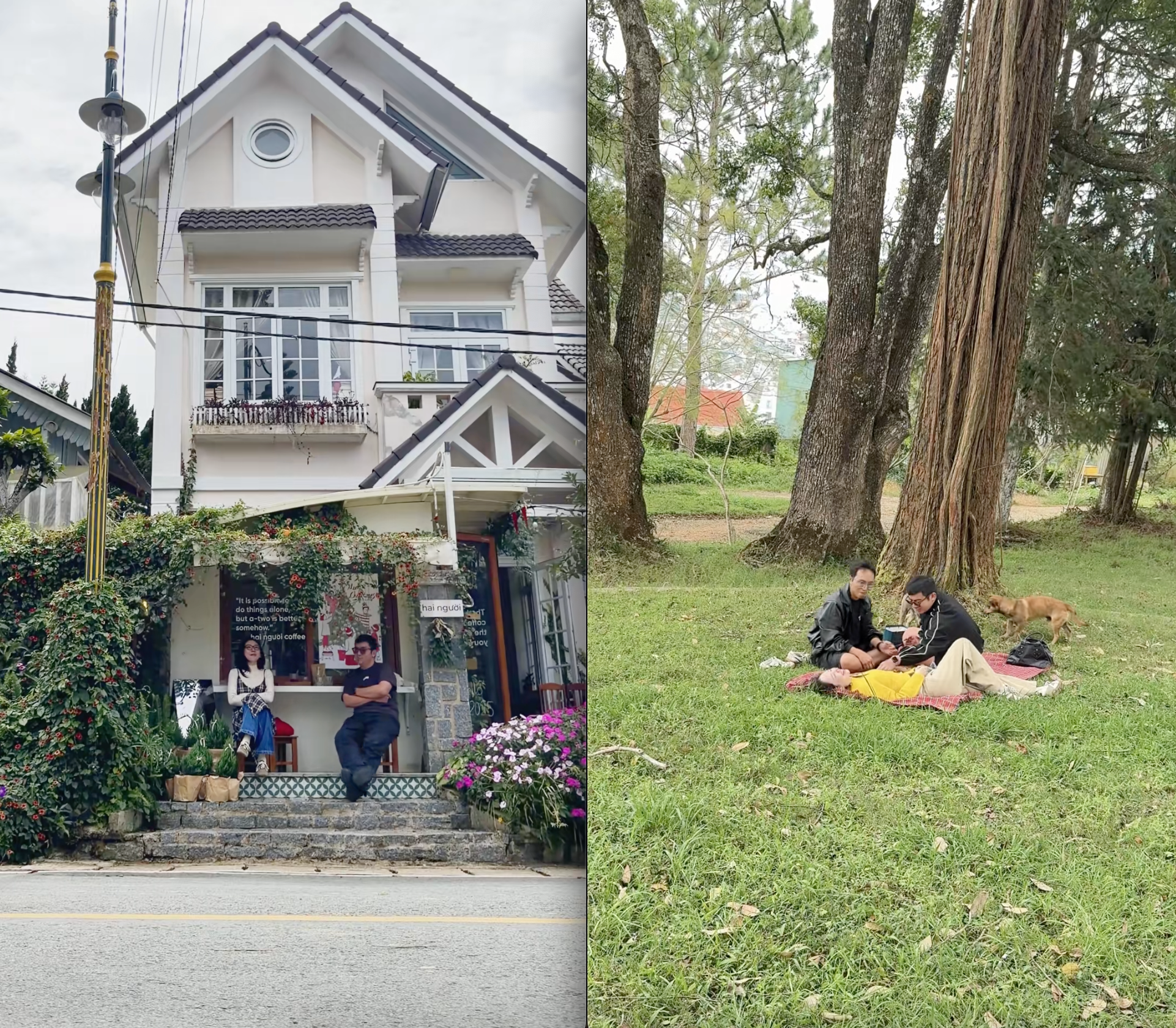 Tóc Tiên khoe cảnh Tóc Tiên khoe cảnh