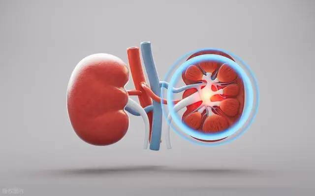 Đừng đợi đến khi phù nề mới đi khám! Bác sĩ chỉ ra 3 dấu hiệu sớm của bệnh thận mà 90% người bỏ qua- Ảnh 3.