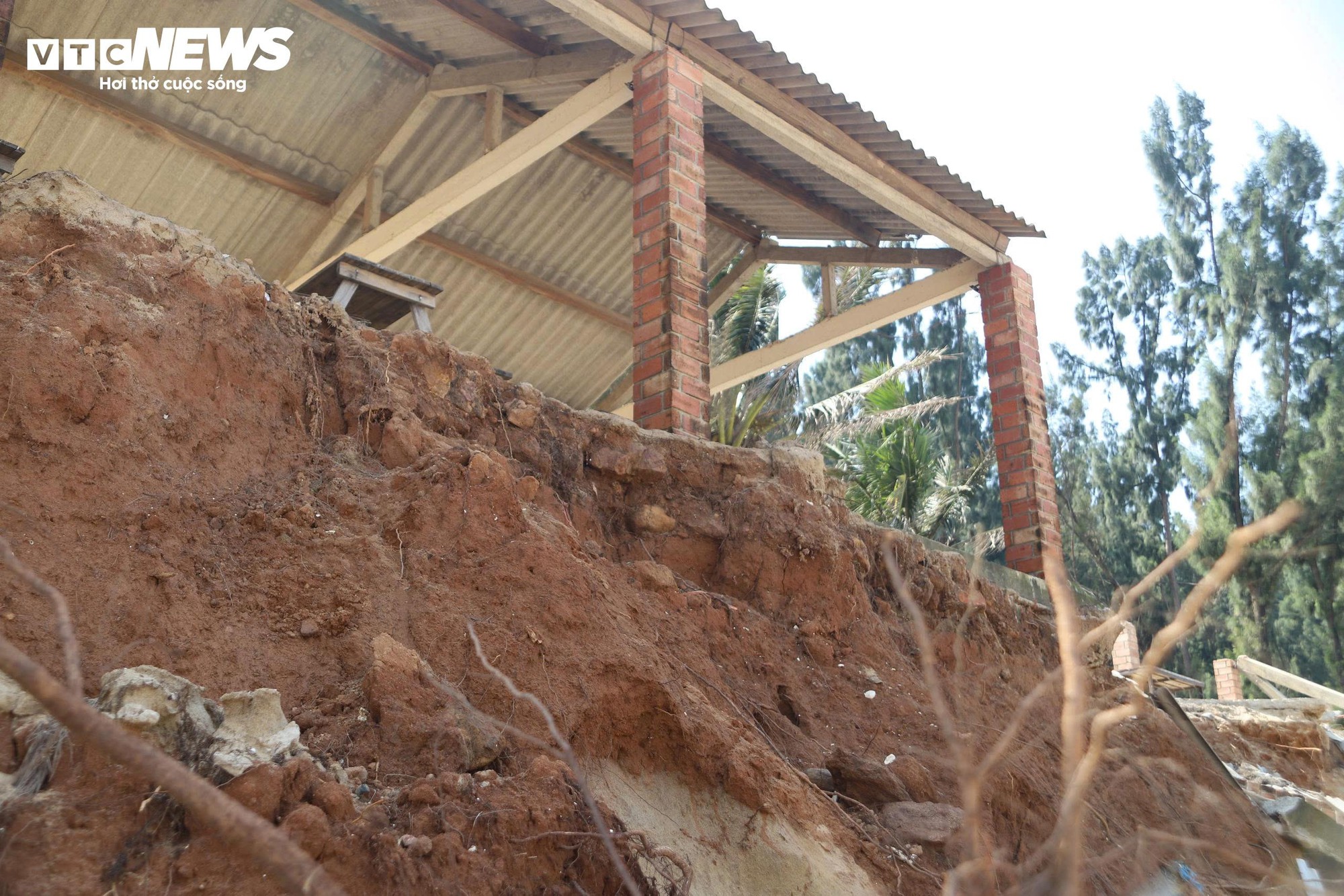 Bãi biển đẹp hoang sơ ở Huế tan nát, nguy cơ xoá sổ do thiên tai liên tiếp- Ảnh 8.