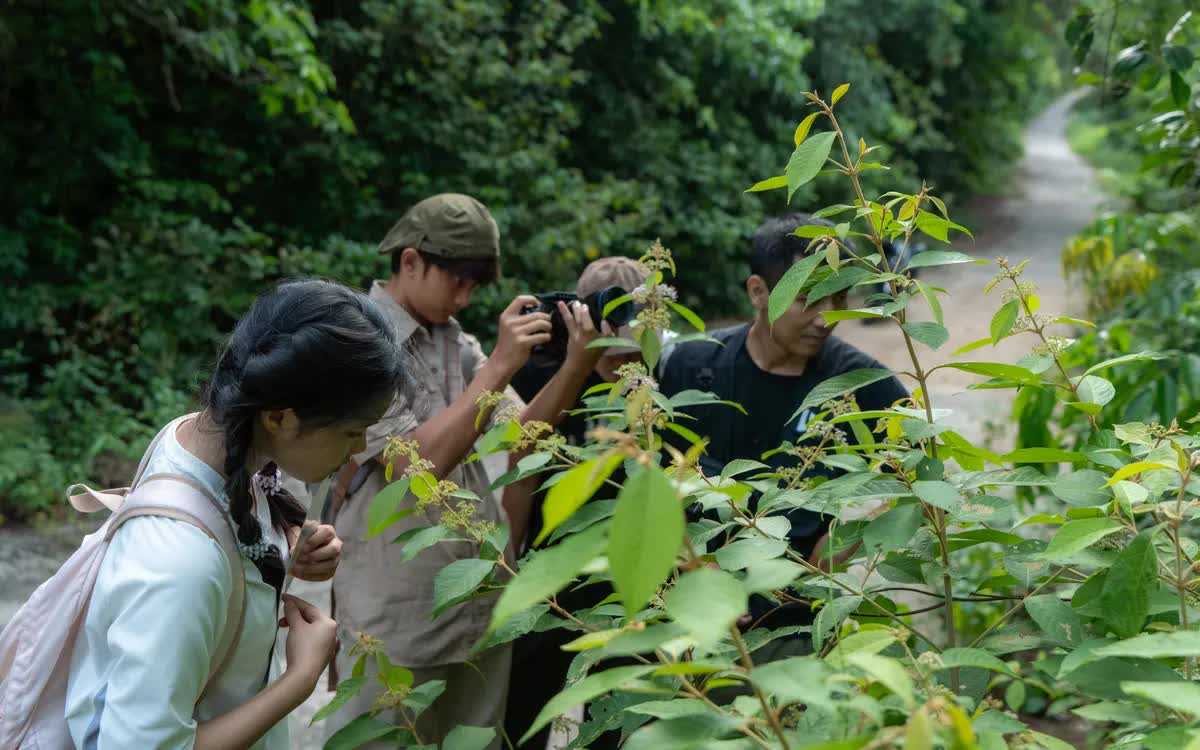 Gen Z lên kế hoạch du lịch nhiều hơn trong năm 2026.
