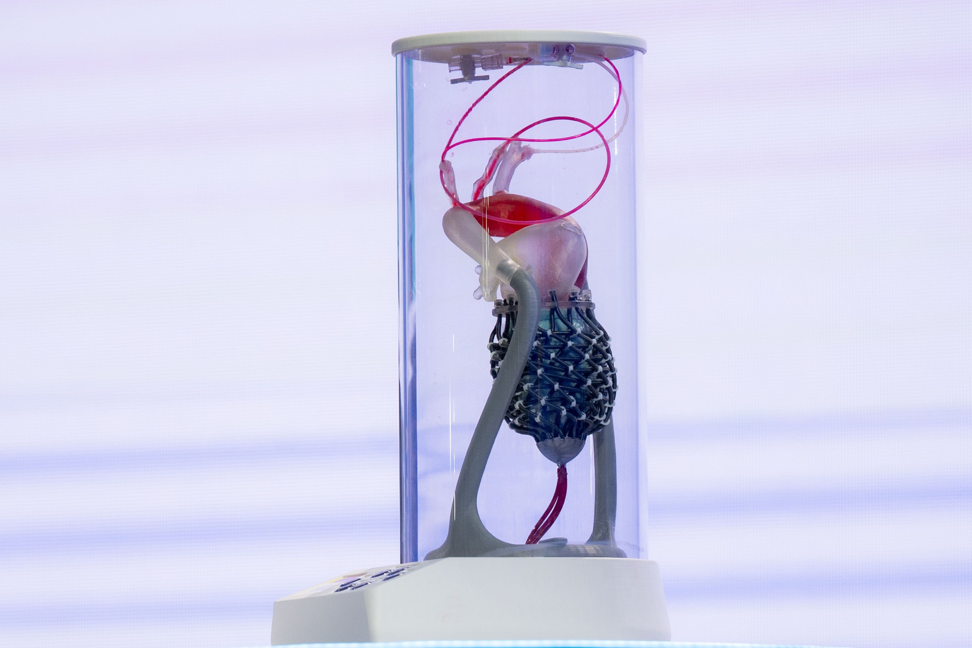 Chân dung nhà khoa học Việt chế tạo trái tim nằm ngoài lồng ngực để cứu người- Ảnh 2.