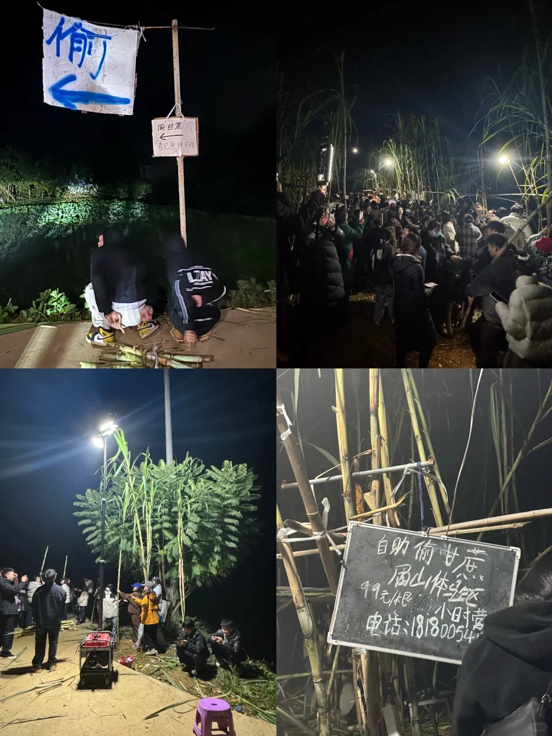 “Trộm mía” giữa đêm đông: Trò chơi quê mùa bỗng thành hot trend, người ta xếp hàng nửa tiếng chỉ để… bị đuổi bắt- Ảnh 17.