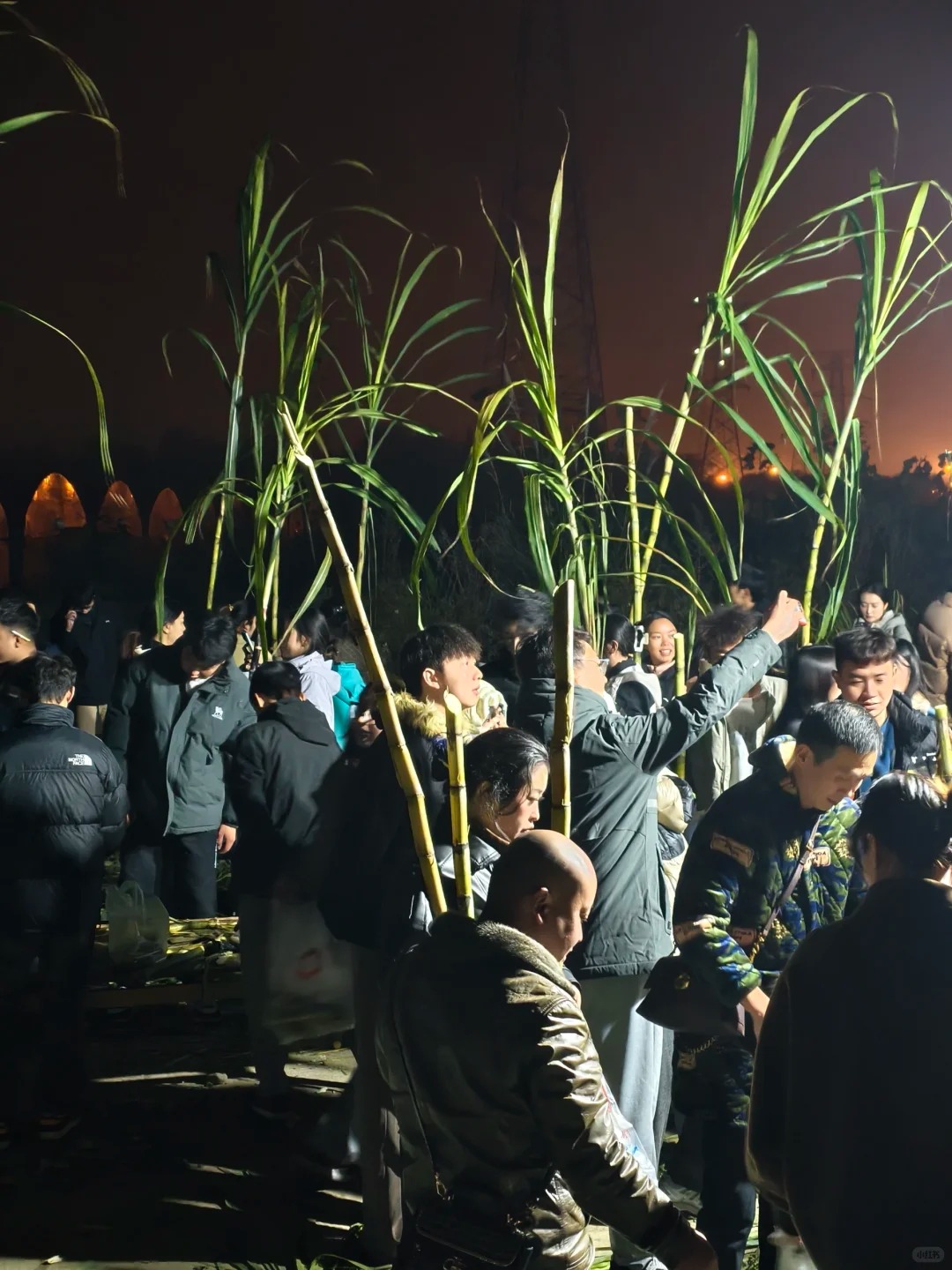 “Trộm mía” giữa đêm đông: Trò chơi quê mùa bỗng thành hot trend, người ta xếp hàng nửa tiếng chỉ để… bị đuổi bắt- Ảnh 15.