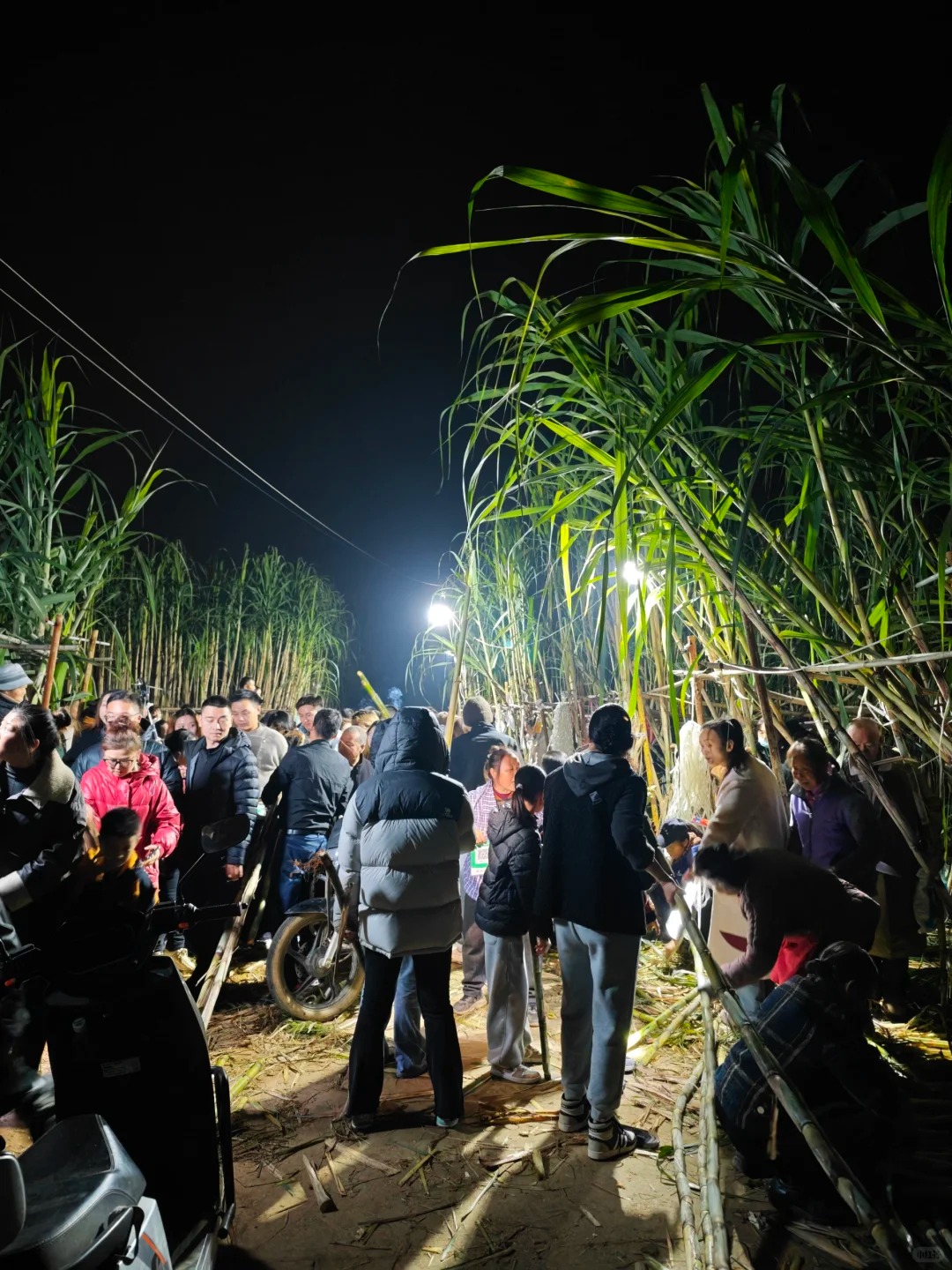 “Trộm mía” giữa đêm đông: Trò chơi quê mùa bỗng thành hot trend, người ta xếp hàng nửa tiếng chỉ để… bị đuổi bắt- Ảnh 24.