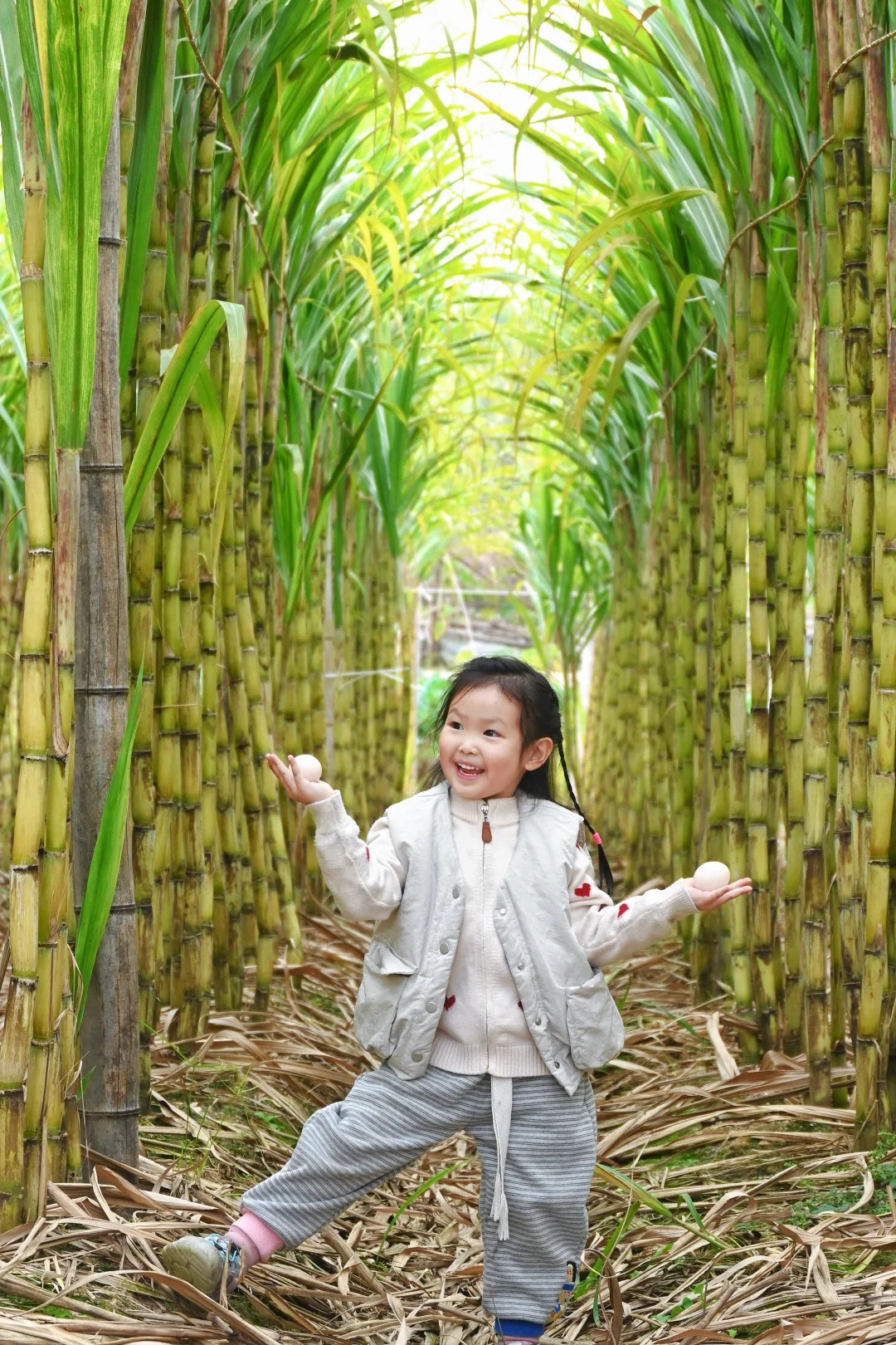 “Trộm mía” giữa đêm đông: Trò chơi quê mùa bỗng thành hot trend, người ta xếp hàng nửa tiếng chỉ để… bị đuổi bắt- Ảnh 9.