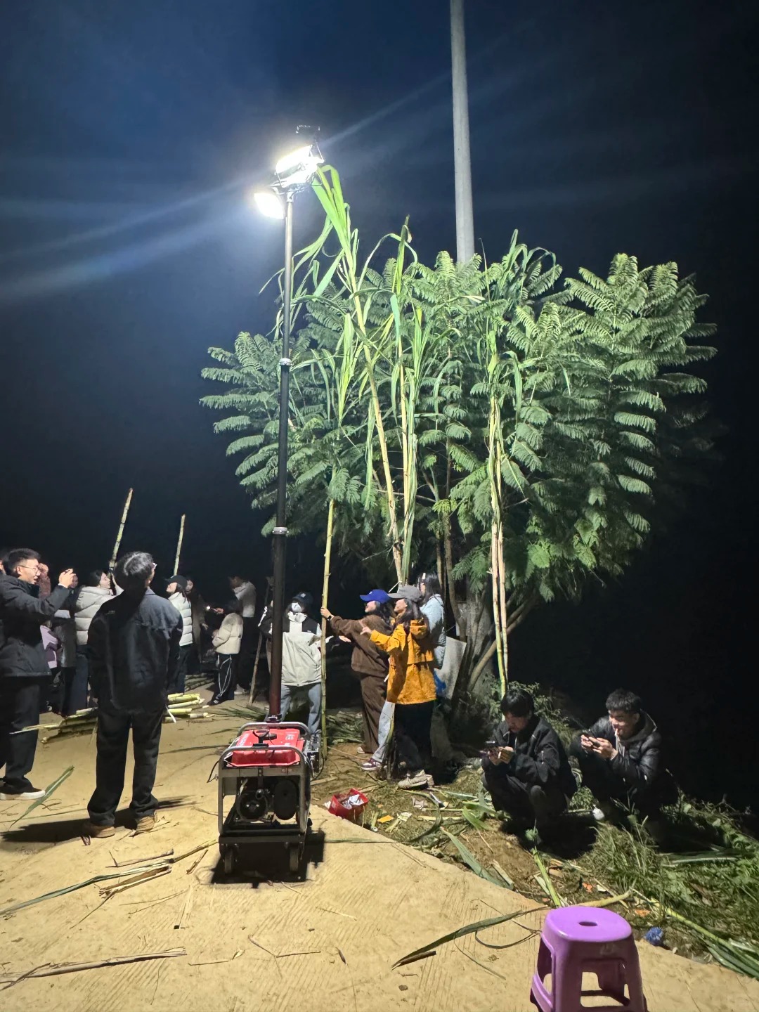 “Trộm mía” giữa đêm đông: Trò chơi quê mùa bỗng thành hot trend, người ta xếp hàng nửa tiếng chỉ để… bị đuổi bắt- Ảnh 1.