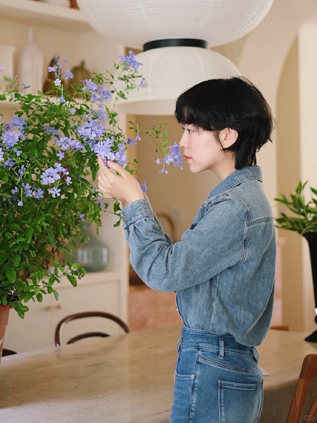 Hoa thanh xà đang được hội mê cây săn lùng: Dễ trồng, dễ “bùng nở”, góc nhà lên hình đẹp như trời Tây- Ảnh 8.