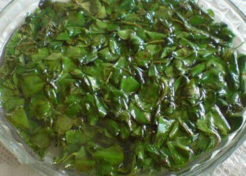 Loại cây "hiếm có khó tìm", giữ bên mình gặp nhiều may mắn, ăn vào bụng bổ như nhân sâm- Ảnh 2.