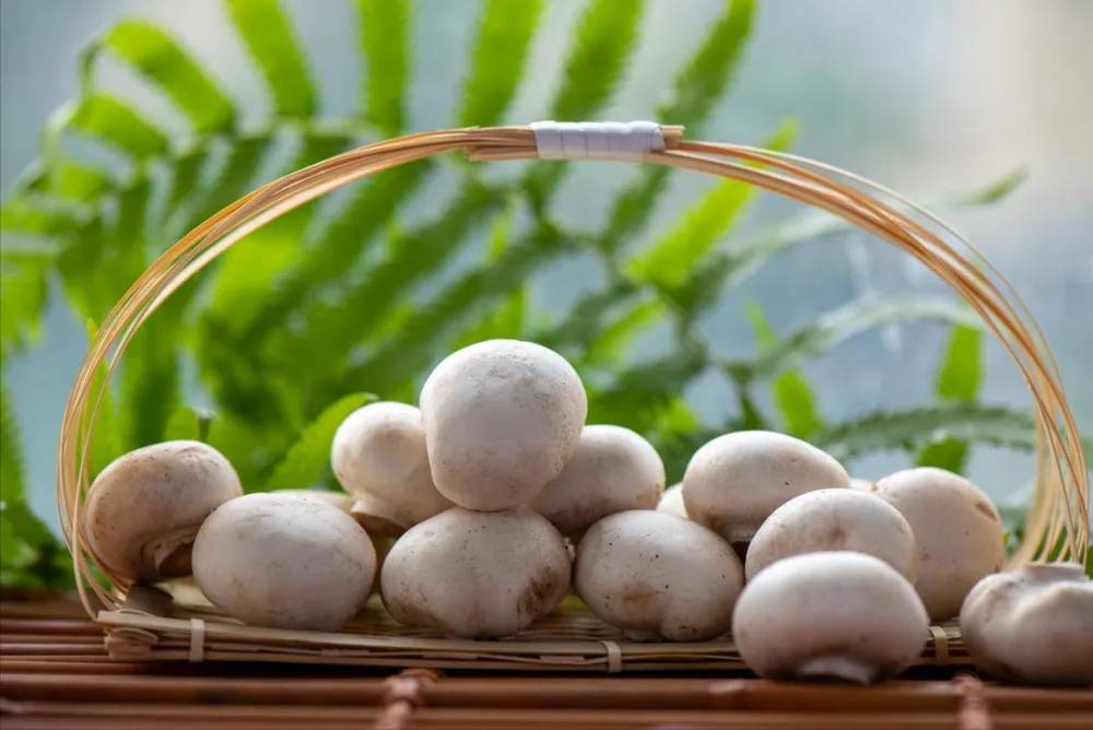 Ngoài chuối, có một loại thực phẩm gấp 8 lần kali, người trung niên ăn cách ngày chân tay sẽ khỏe, tràn đầy năng lượng suốt mùa đông- Ảnh 3.