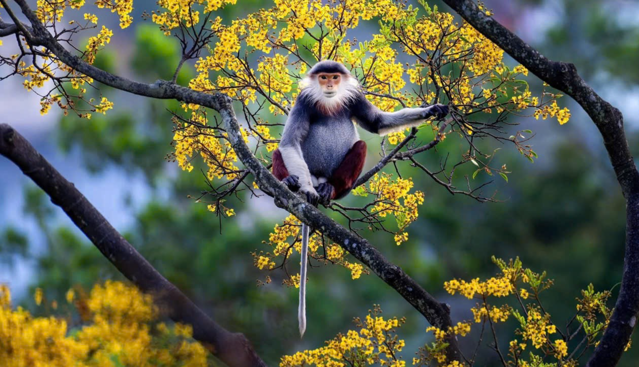 Gần 54% Gen Z lên kế hoạch du lịch nhiều hơn trong năm 2026- Ảnh 3.