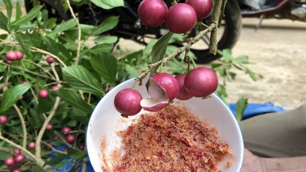 Ký ức tuổi thơ qua loại quả mang hương vị đặc trưng, đỏ au nhìn siêu hấp dẫn- Ảnh 3.