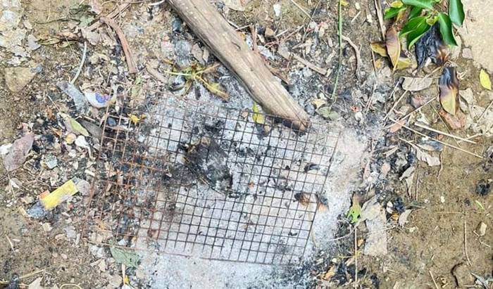 Người đàn ông 34 tuổi tử vong ngay sau khi ăn món "lạ mắt" trong vườn nhà- Ảnh 1.