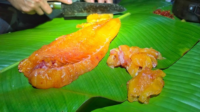 Gặp "thủy quái nước ngọt" dài 1,5m, nặng gần 30kg: Cá thể hiếm tới mức nhiều năm mới trồi lên một lần- Ảnh 4. Gặp