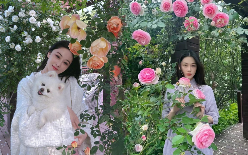 Từng là mỹ nhân thị phi, giờ là “bà chủ nông trại nhỏ”: Trương Hinh Dư khoe vườn hoa, vườn rau đẹp như tranh Monet khiến chị em phát sốt- Ảnh 1.