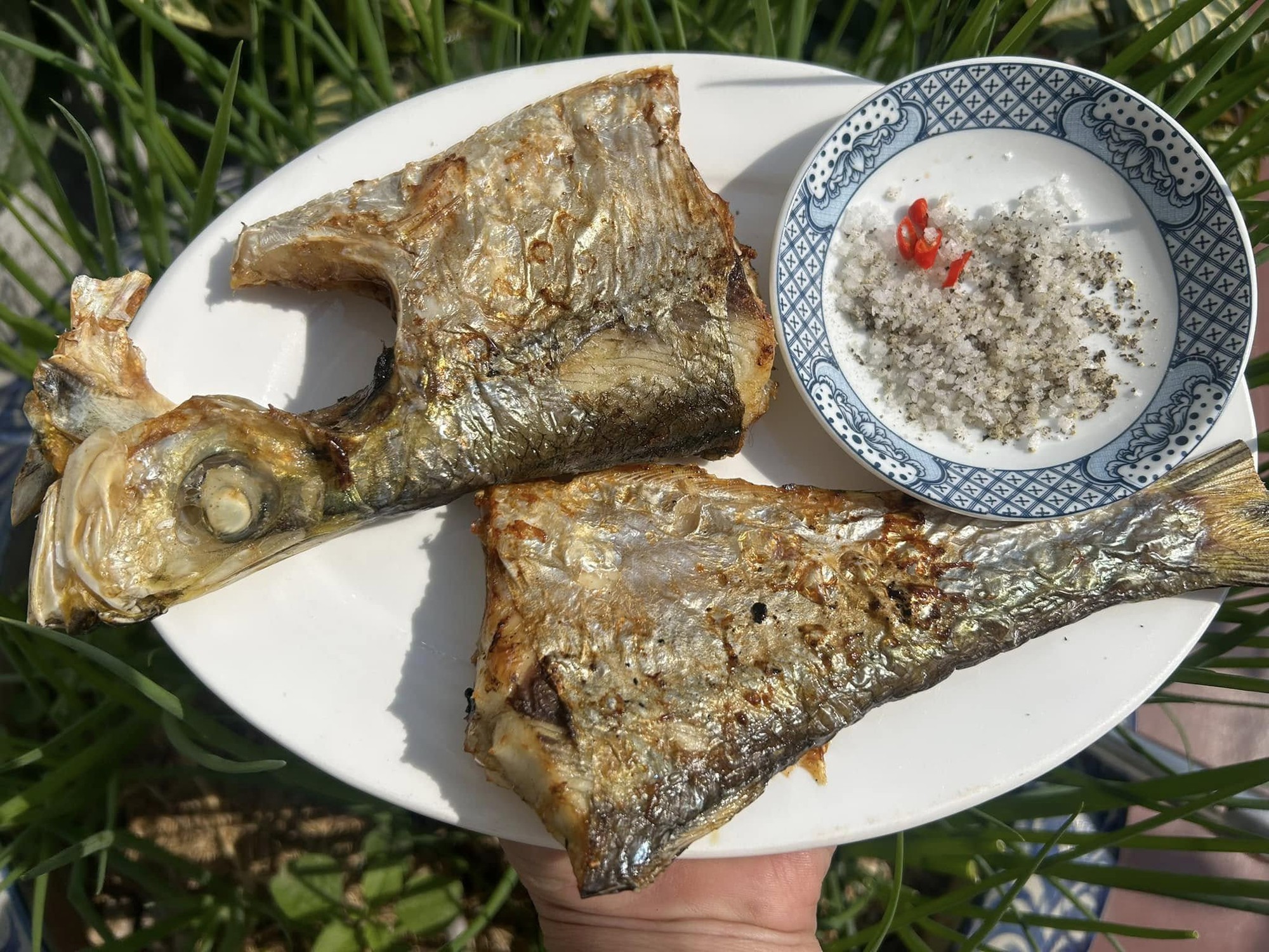 Loại c&aacute; được mệnh danh l&agrave; 