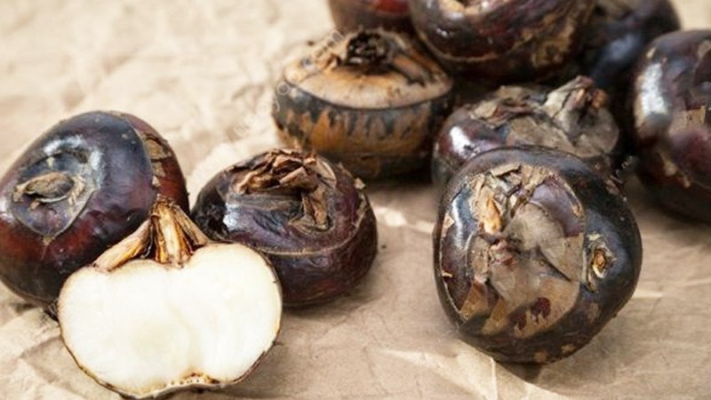 Củ năng - loại củ xấu x&iacute; quen thuộc nhưng &iacute;t người biết, ăn đều c&oacute; thể mang lại 5 lợi &iacute;ch cho cơ thể- Ảnh 1.