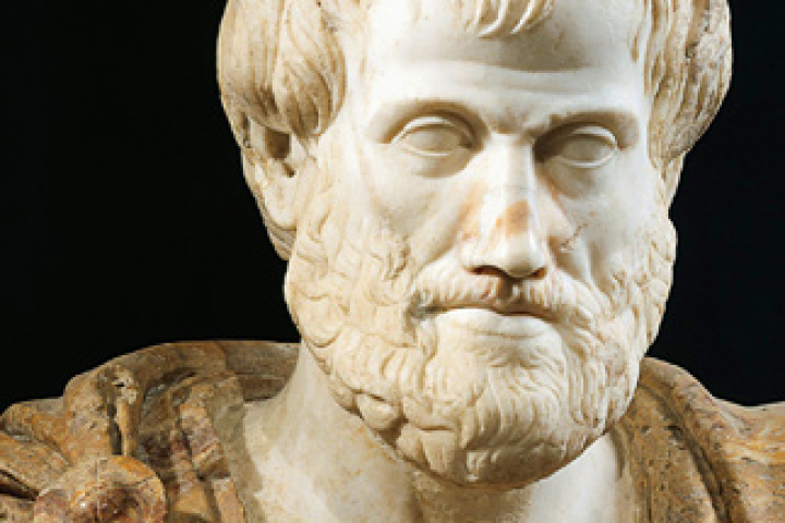 Aristotle đ&atilde; sai- Ảnh 2.