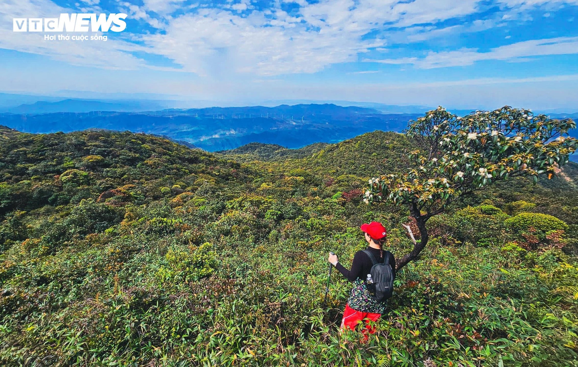 'Săn m&acirc;y', ngắm cảnh đẹp hoang sơ tr&ecirc;n 'n&oacute;c nh&agrave;' Quảng Trị ở d&atilde;y Trường Sơn- Ảnh 5.