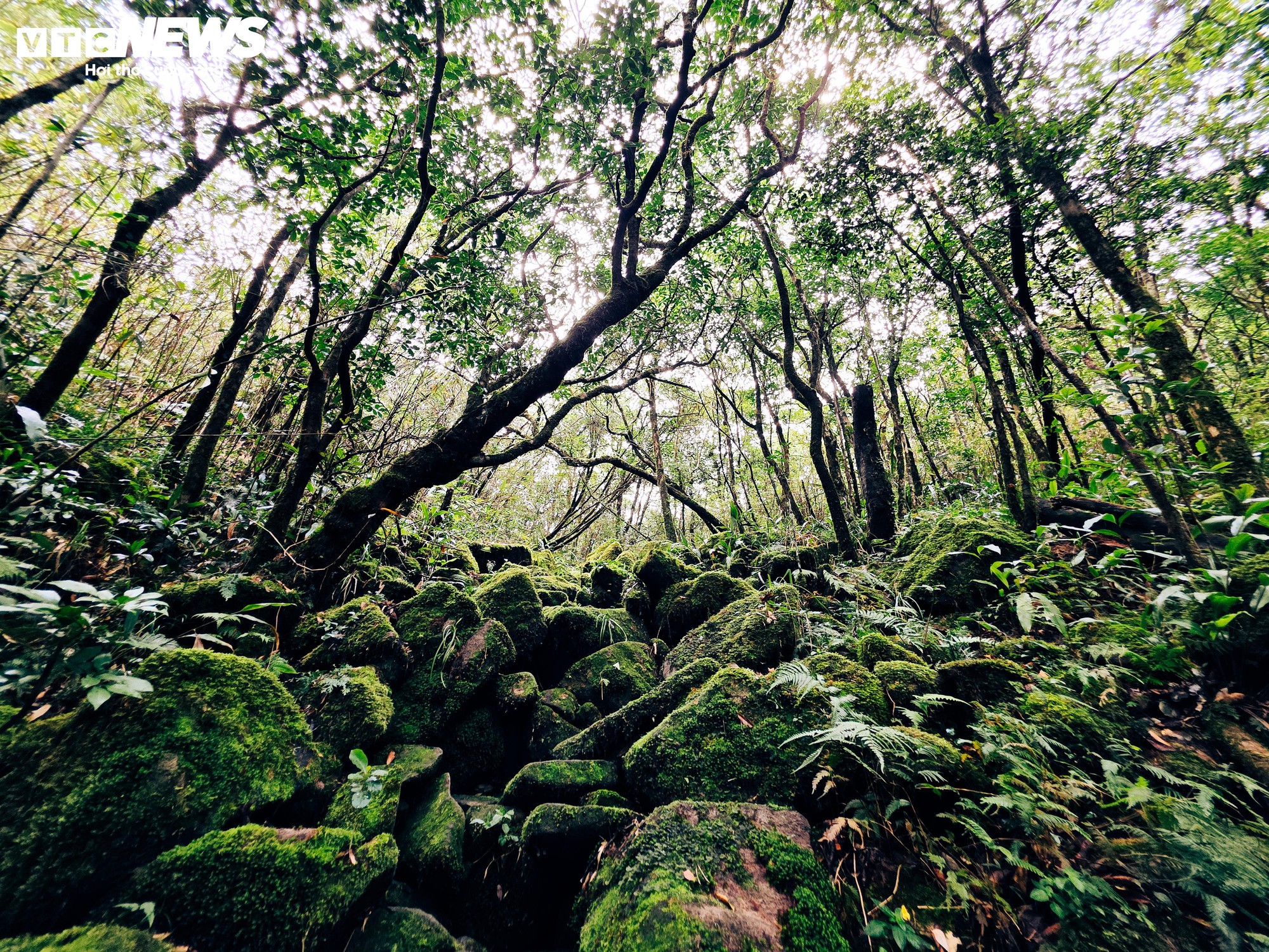 'Săn m&acirc;y', ngắm cảnh đẹp hoang sơ tr&ecirc;n 'n&oacute;c nh&agrave;' Quảng Trị ở d&atilde;y Trường Sơn- Ảnh 6.