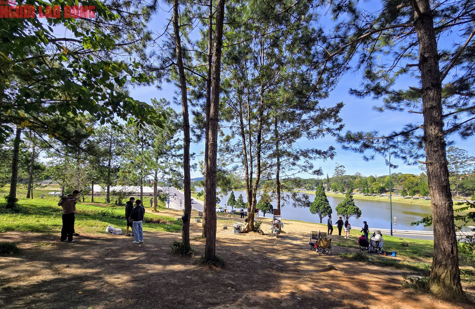 Con dốc "view siêu đẹp" ở Đà Lạt thu hút khách check-in từ sáng đến chiều- Ảnh 1. Con dốc "view siêu đẹp" ở Đà Lạt thu hút khách check-in từ sáng đến chiều- Ảnh 1.