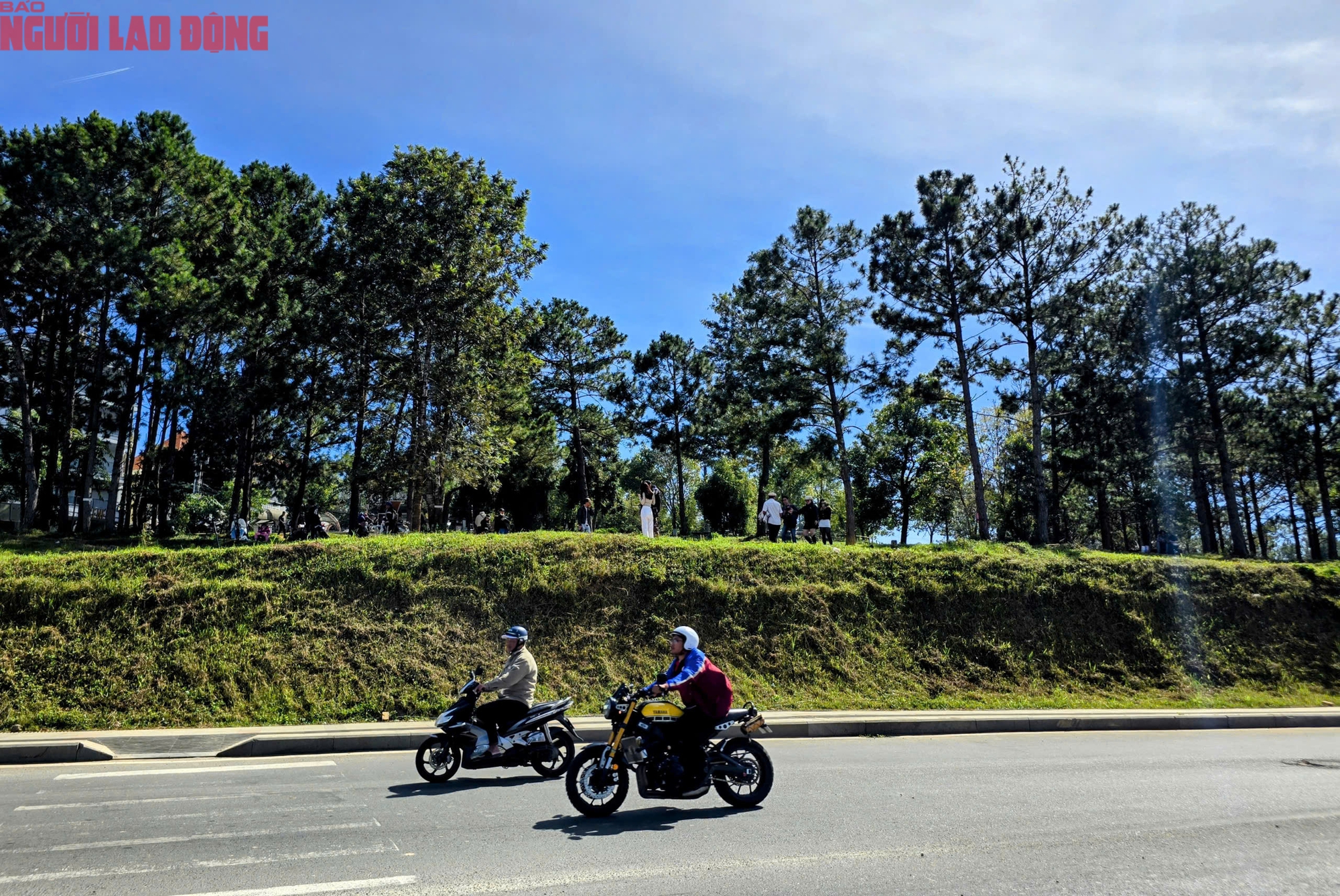 Con dốc "view siêu đẹp" ở Đà Lạt thu hút khách check-in từ sáng đến chiều- Ảnh 3. Con dốc "view siêu đẹp" ở Đà Lạt thu hút khách check-in từ sáng đến chiều- Ảnh 3.