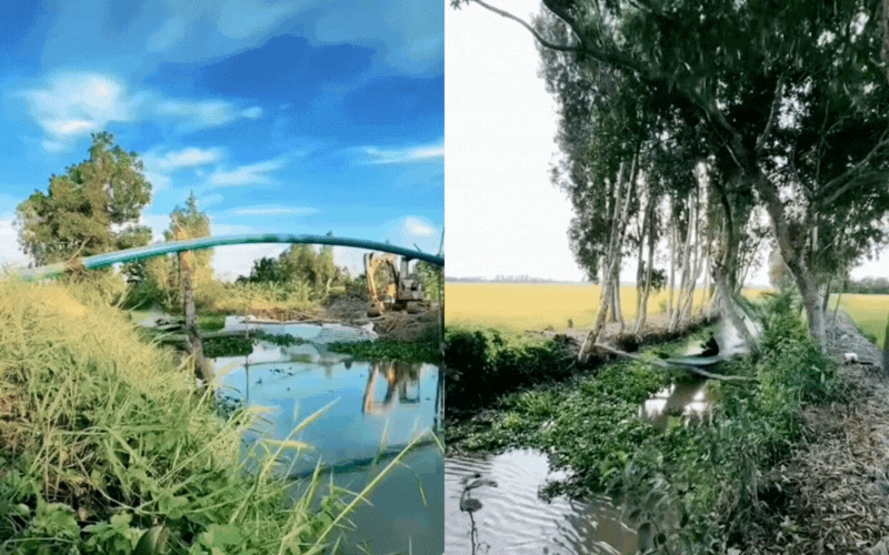 "Đặc sản" lạ chỉ t&igrave;m thấy ở miền T&acirc;y, người yếu tim chắc chắn kh&ocirc;ng d&aacute;m thử- Ảnh 1.