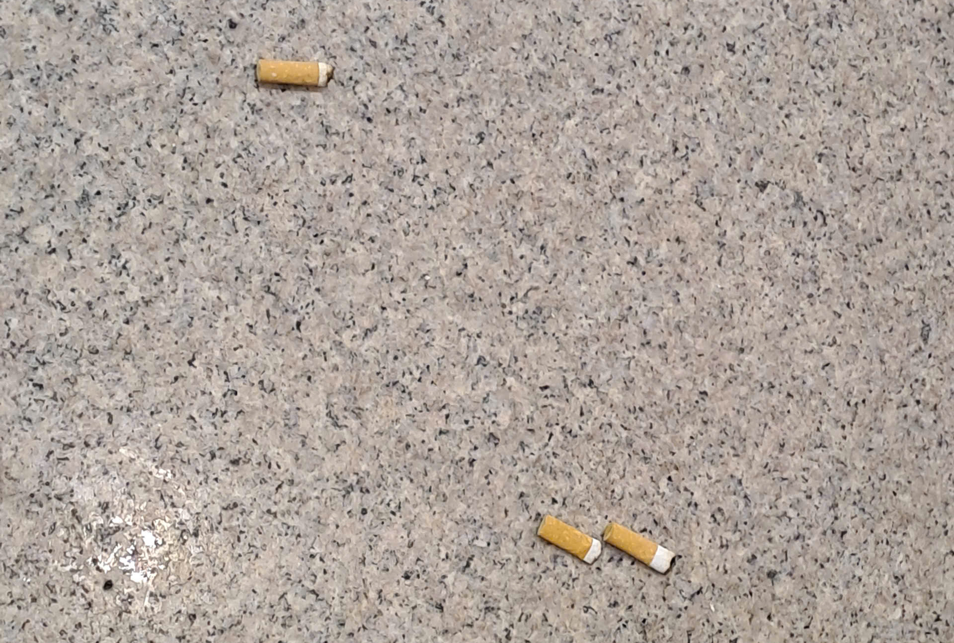 S&acirc;n bay T&acirc;n Sơn Nhất: Kh&aacute;ch đ&ocirc;ng, r&aacute;c cũng "bủa v&acirc;y"- Ảnh 6.