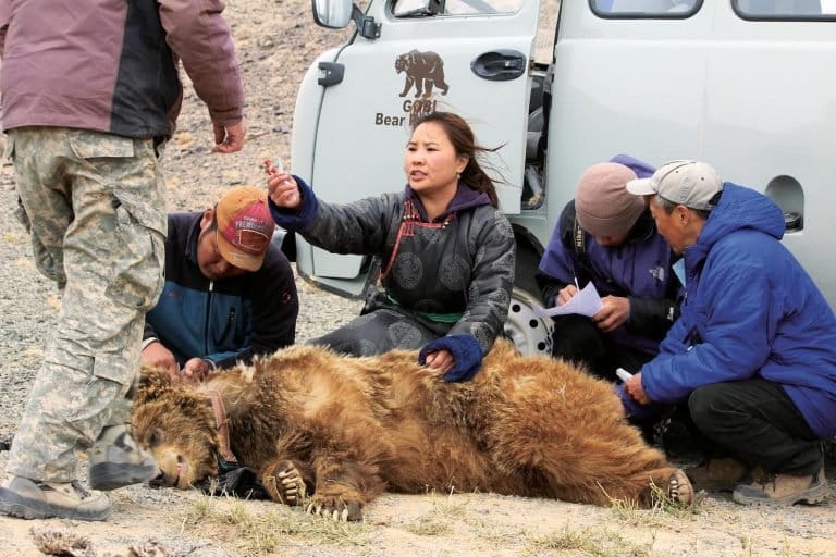 Hiếm hơn cả gấu tr&uacute;c: 