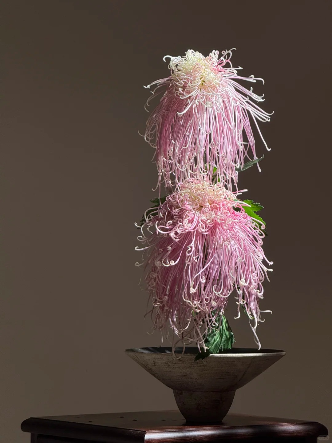 Kh&ocirc;ng chỉ đẹp, đ&acirc;y l&agrave; l&yacute; do người xưa dặn nhất định phải b&agrave;y hoa c&uacute;c ng&agrave;y Tết để gọi 