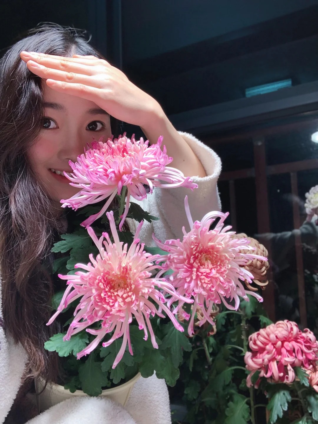 Kh&ocirc;ng chỉ đẹp, đ&acirc;y l&agrave; l&yacute; do người xưa dặn nhất định phải b&agrave;y hoa c&uacute;c ng&agrave;y Tết để gọi 